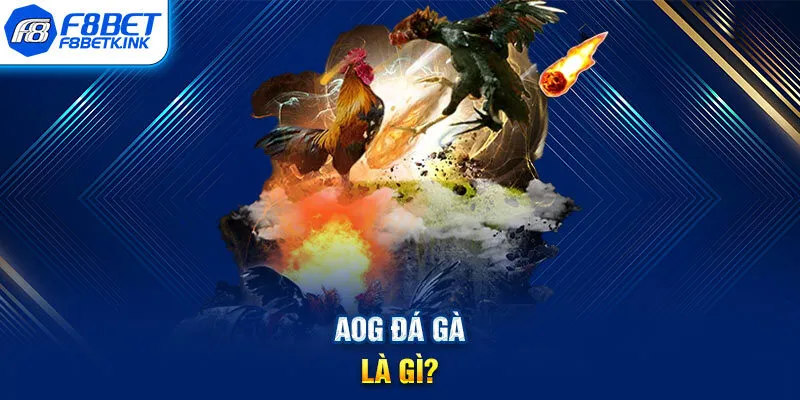 AOG đá gà là gì?