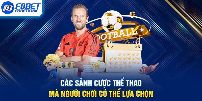 Các sảnh cược thể thao mà người chơi có thể lựa chọn