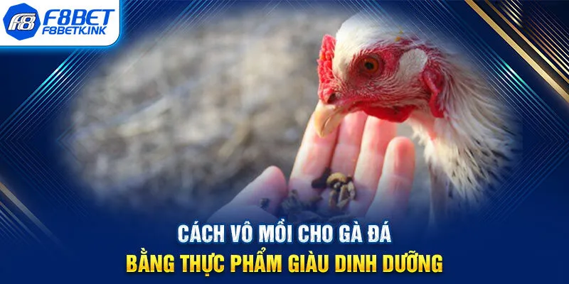 Cách vô mồi cho gà đá bằng thực phẩm giàu dinh dưỡng