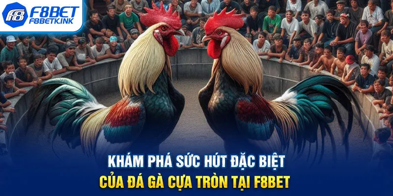 Khám phá sức hút đặc biệt của đá gà cựa tròn tại F8BET